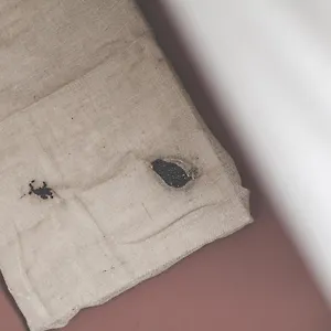 Hotel Bio